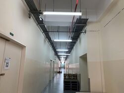 Ubi 55 (D14), Factory #566725191